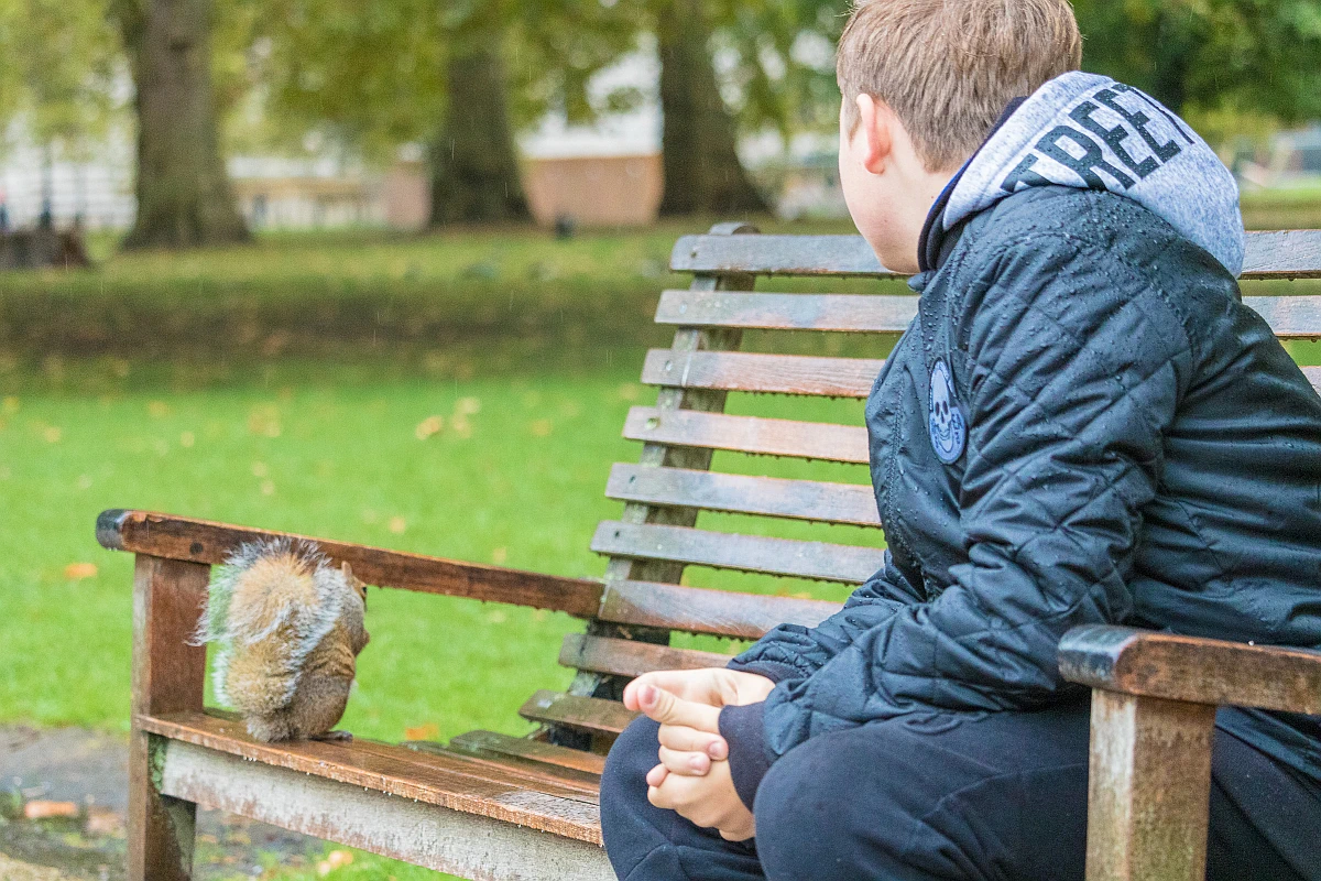 Squirrel feeding in Hyde Park, London