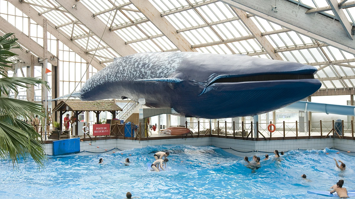 The big whale above the Wave Pool