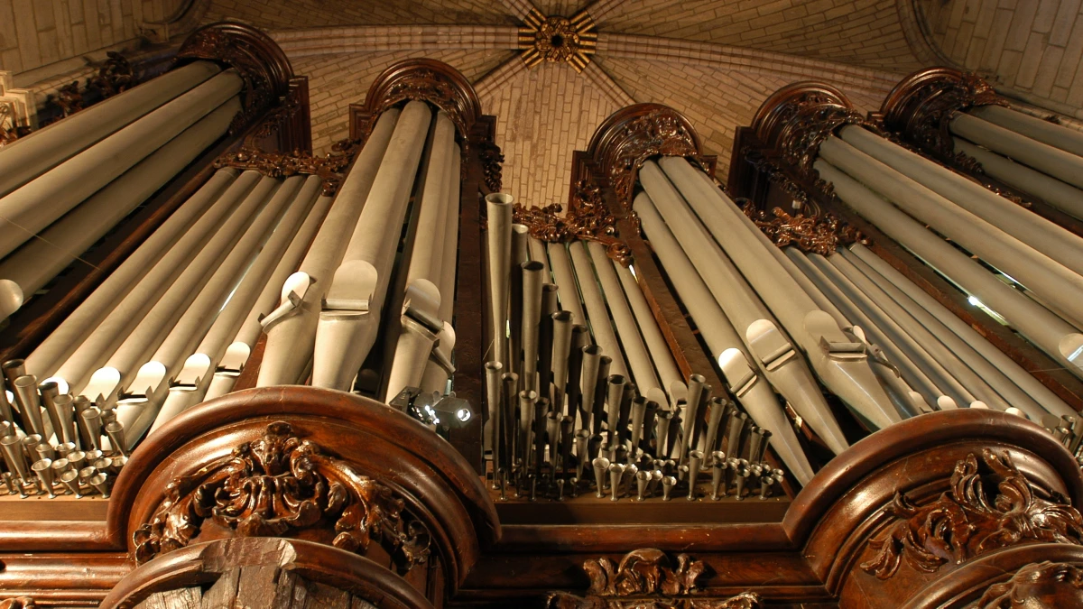 The Organ of the Church